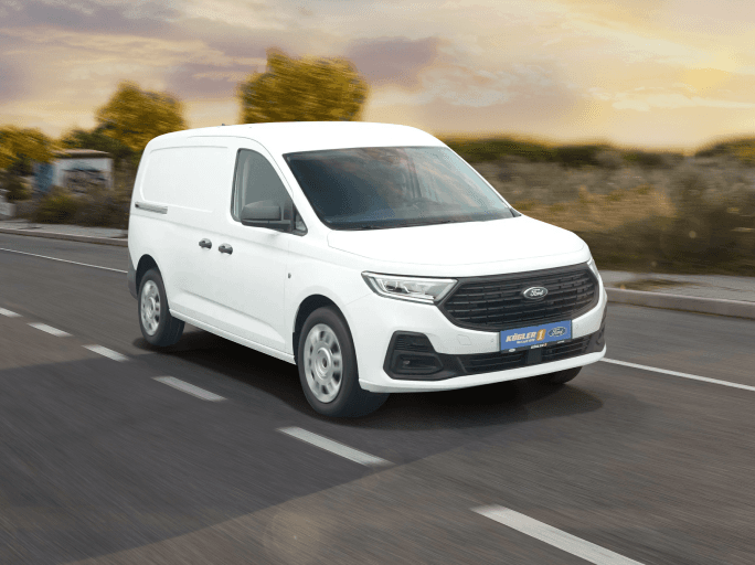 Transporter unter 30.000,- €