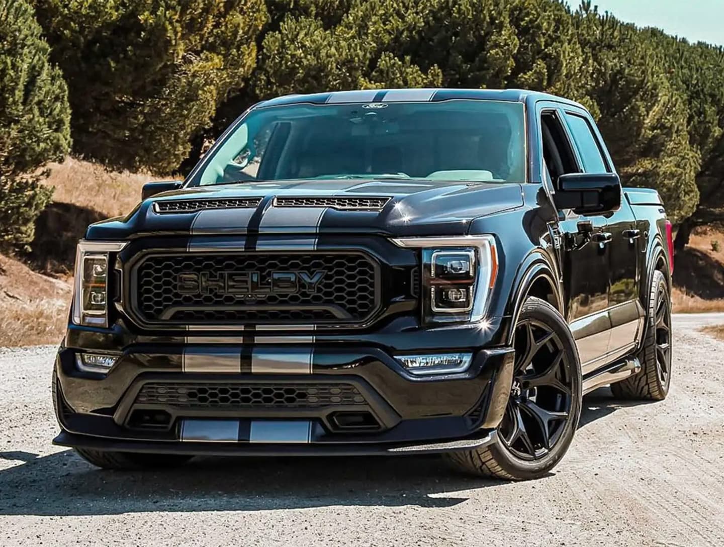 Ford Pickup in Vorderansicht, geparkt auf einer Straße mit Bäumen im Hintergrund