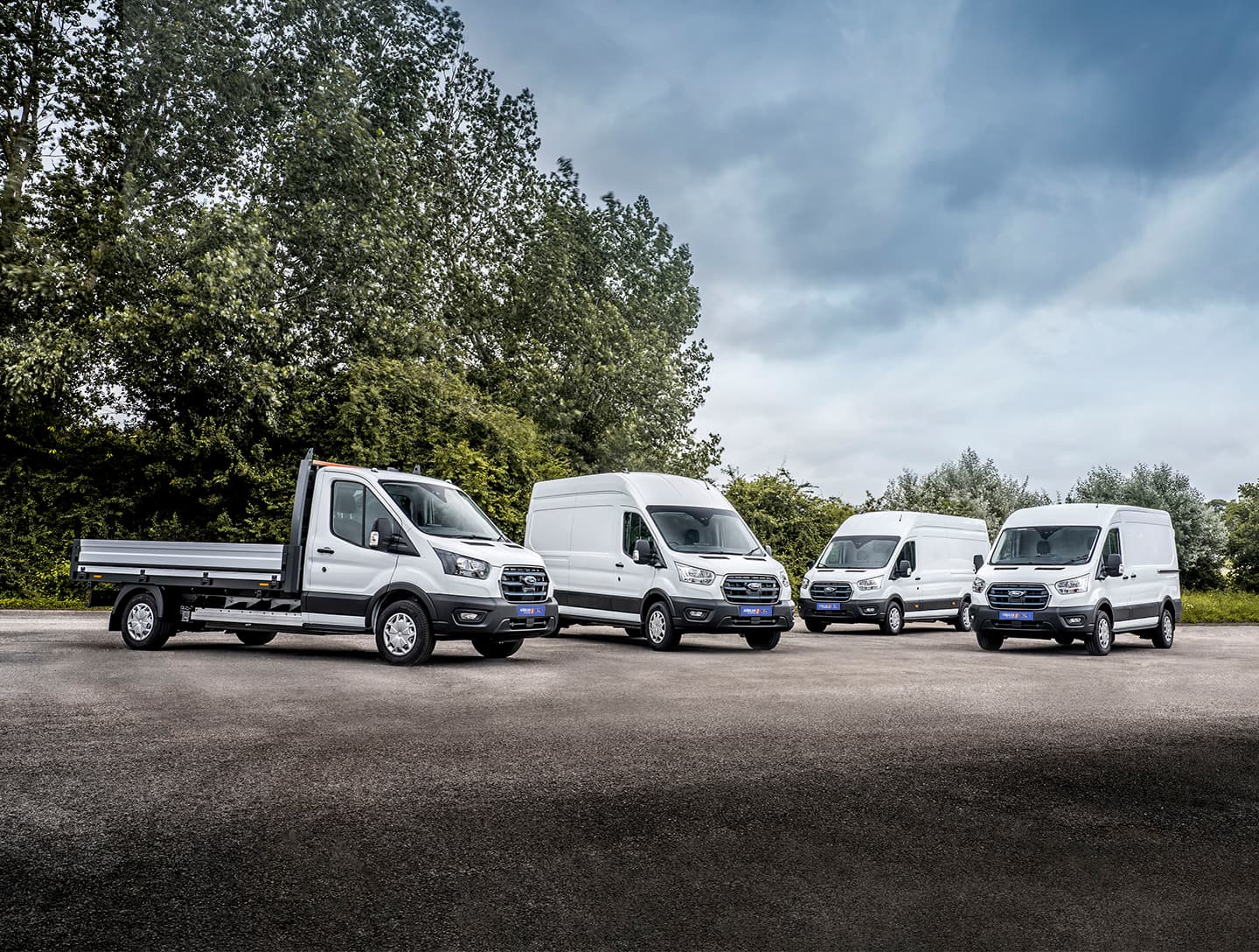 Ford E-Transit diverse Varianten parken