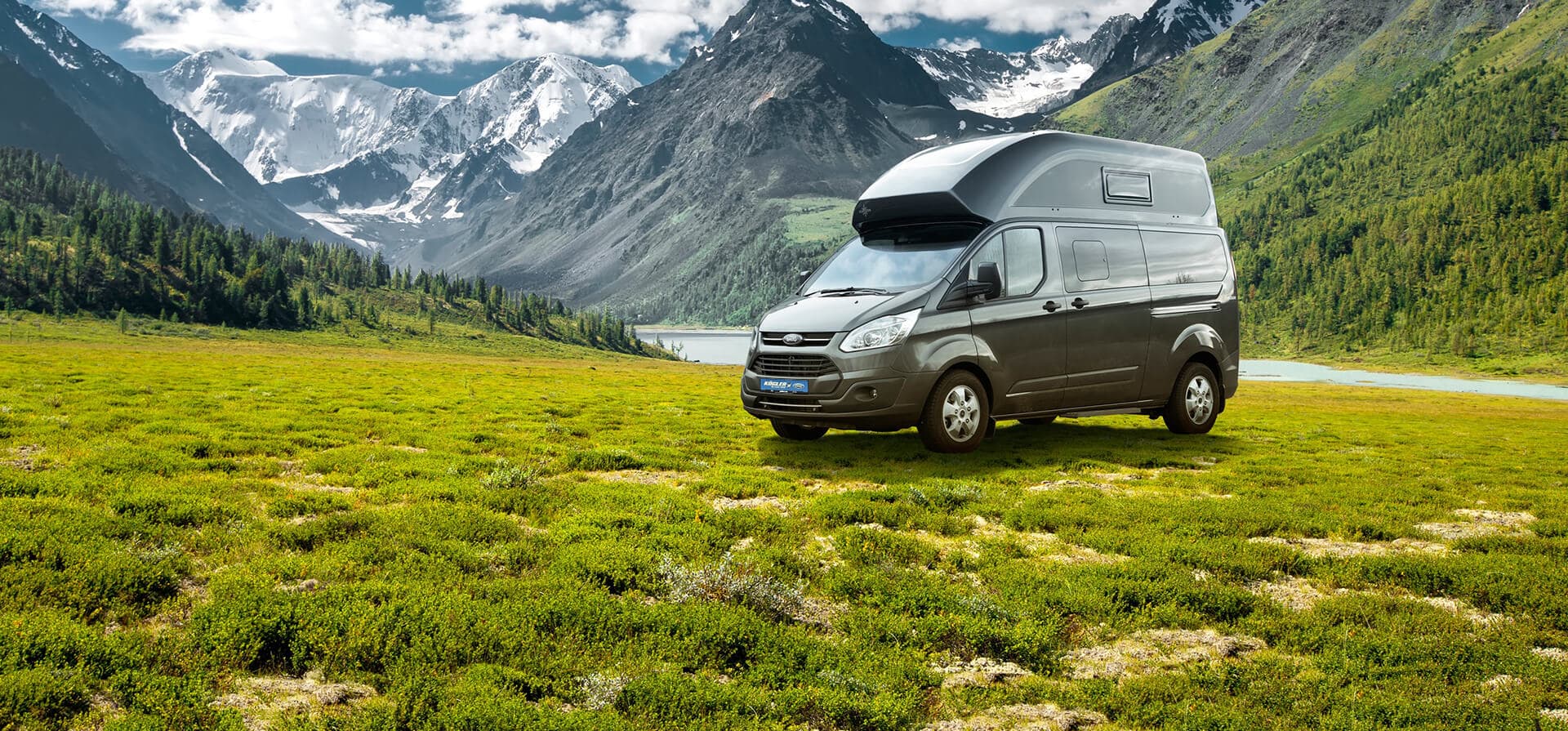 Ford-Transit-Nugget auf Wiese