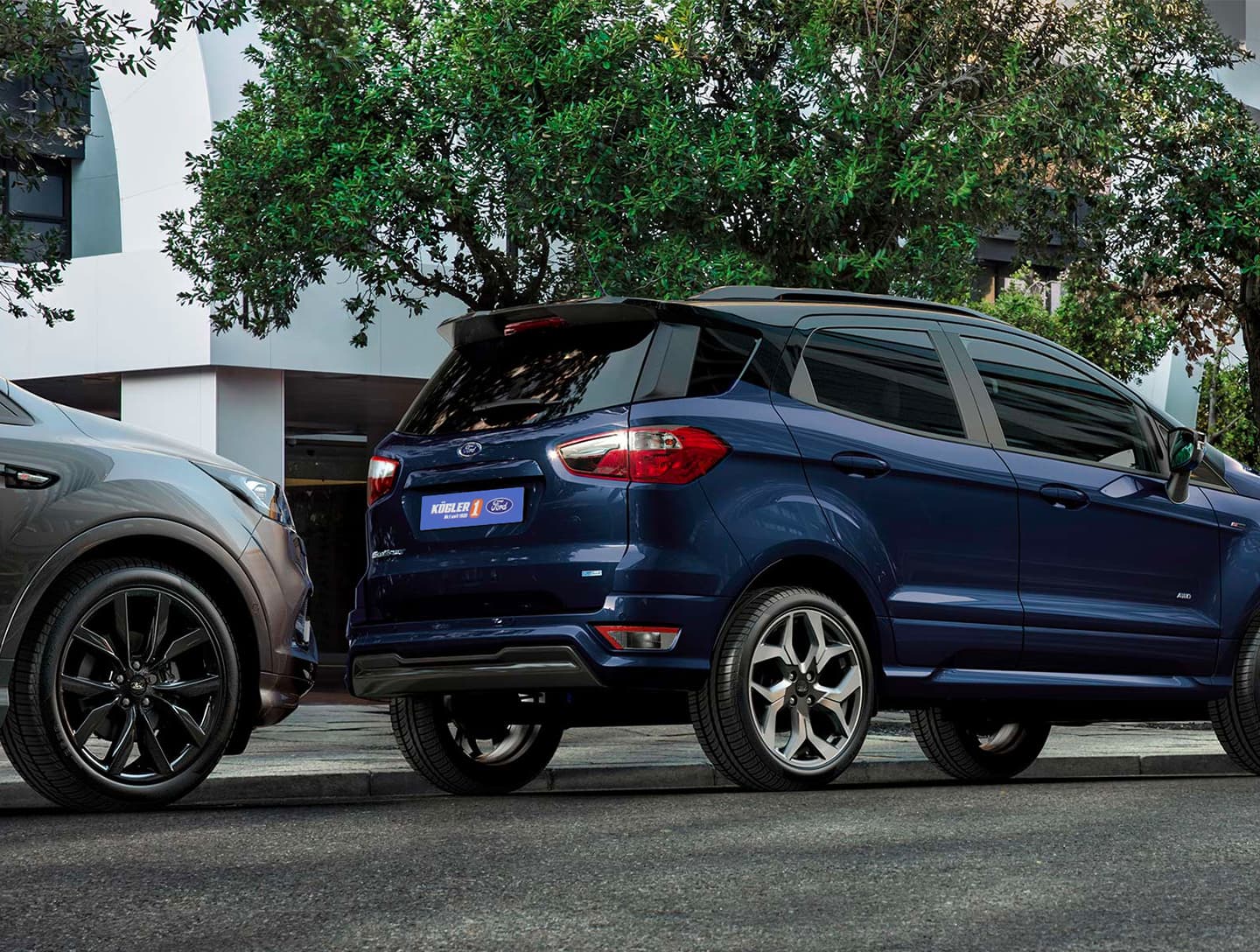 Ford EcoSport Heck parken