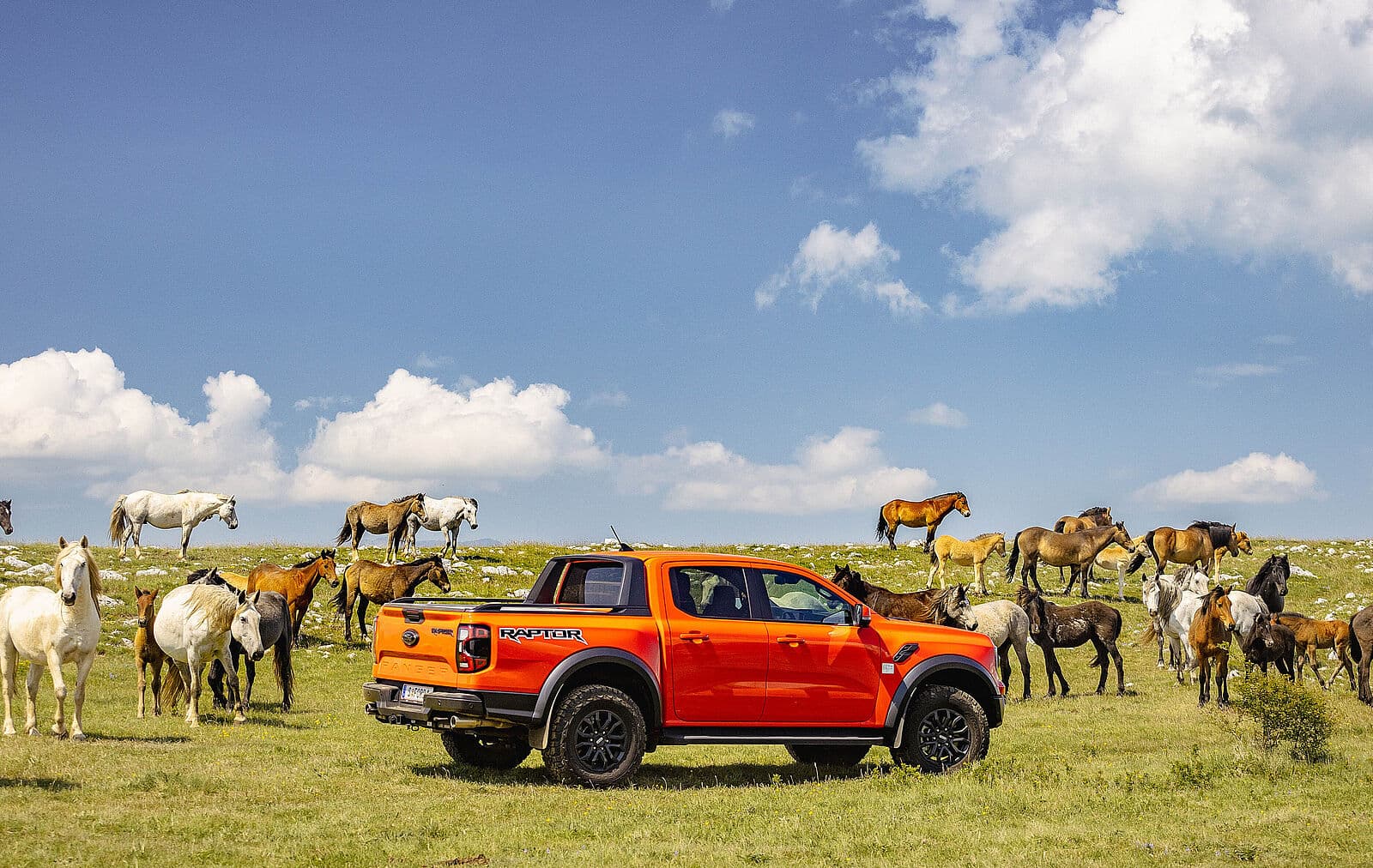 Motoren des Ford Ranger bei Ford Kögler