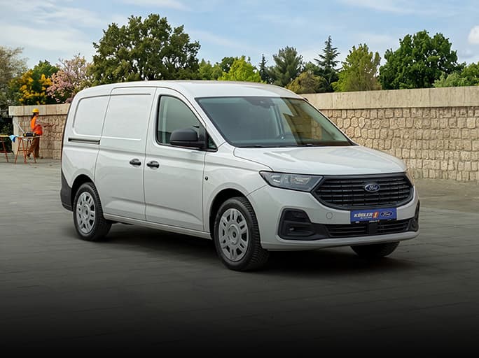 Transporter unter 30.000,- €